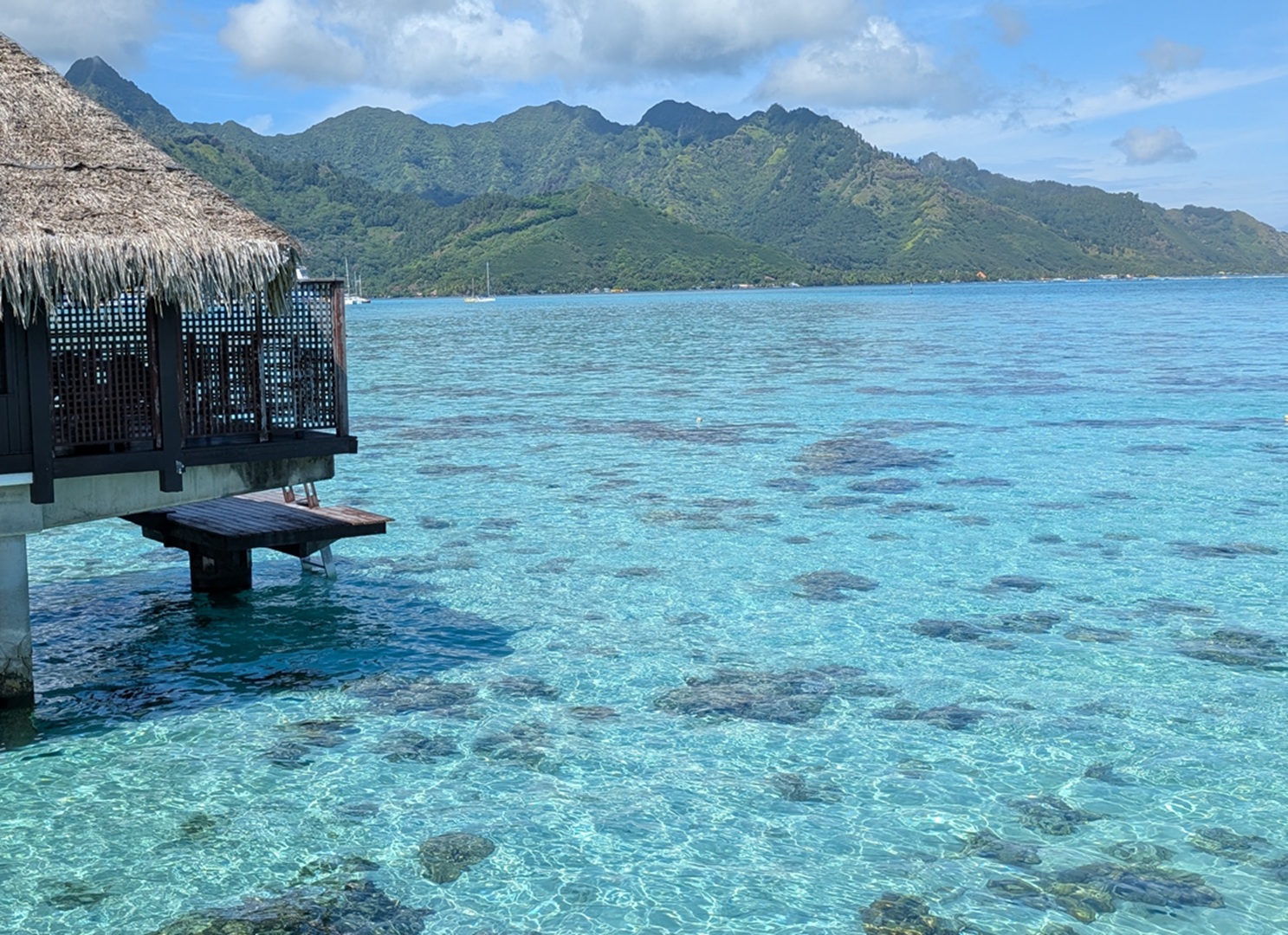 Amarc_Croisieres_Piloti_Croisieres_Polynesie_Francaise.jpg