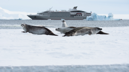 Antarctique - 12 jours