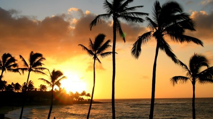 Hawai - 8 jours