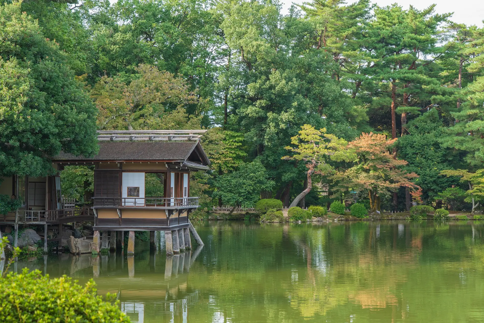 Japon - 11 jours
