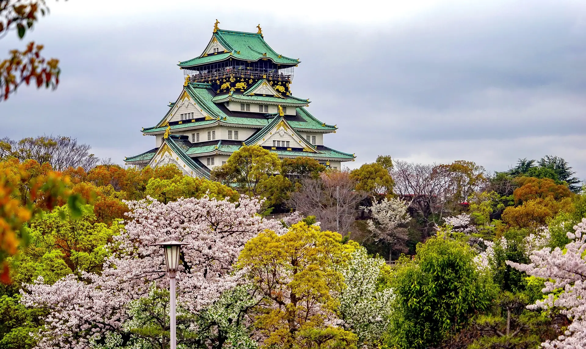 Japon - 13 jours