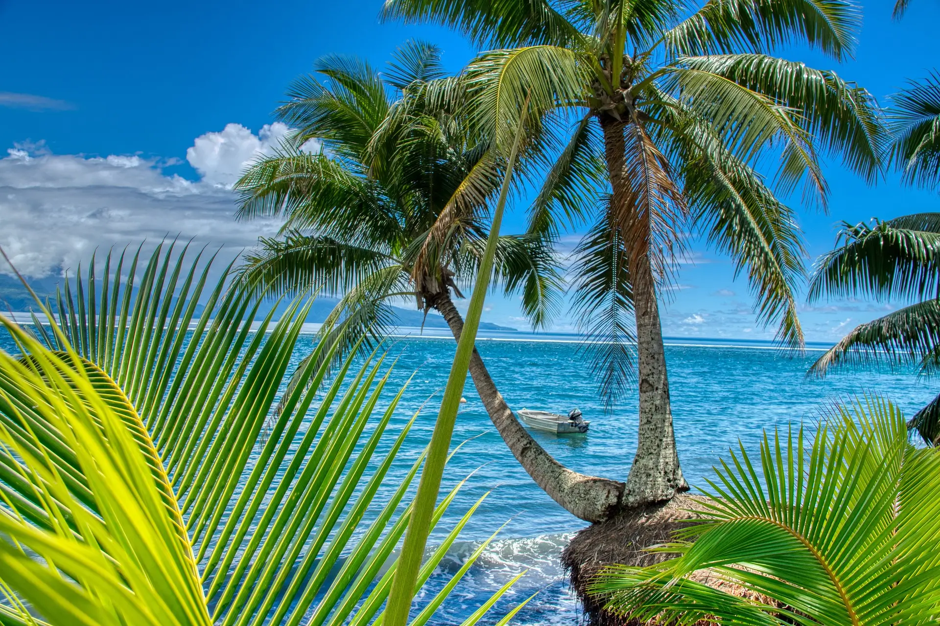 Los Angeles à Tahiti - 19 jours